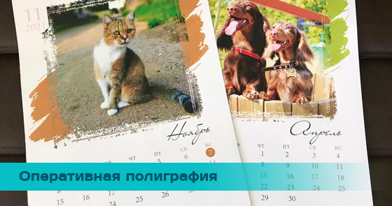 Услуги и продукция для рекламы в Солигорске